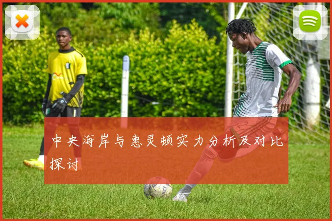 中央海岸与惠灵顿实力分析及对比探讨