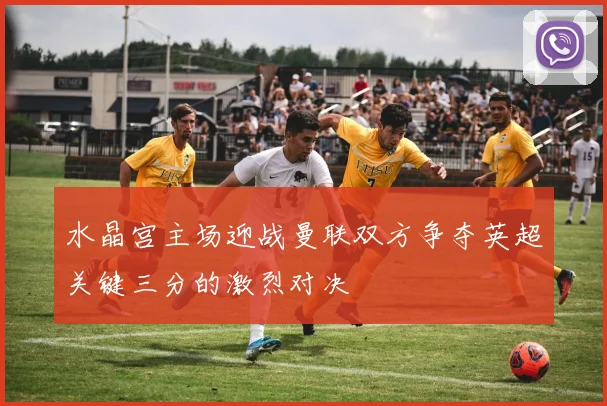水晶宫主场迎战曼联双方争夺英超关键三分的激烈对决
