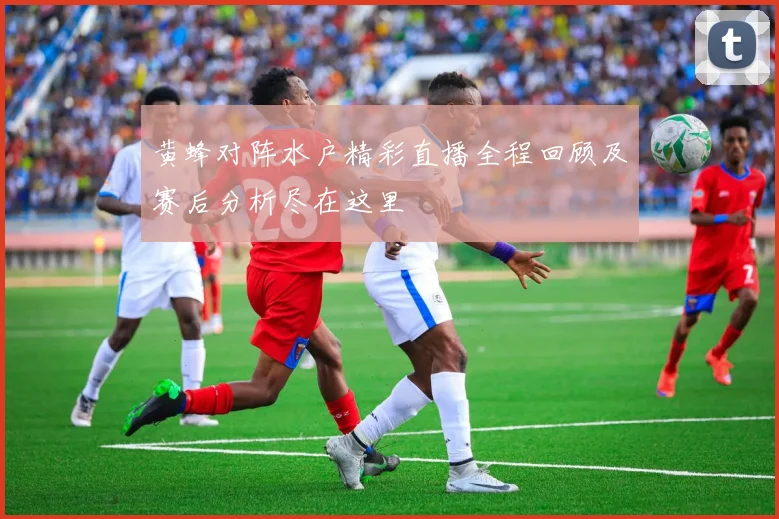 黄蜂对阵水户精彩直播全程回顾及赛后分析尽在这里