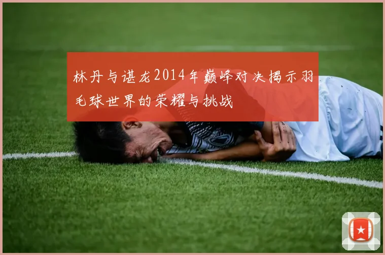 林丹与谌龙2014年巅峰对决揭示羽毛球世界的荣耀与挑战