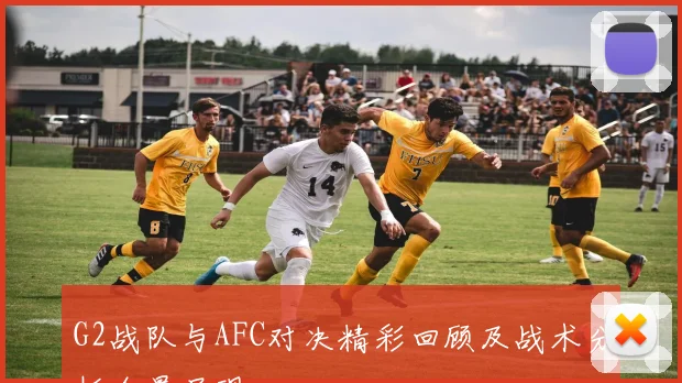G2战队与AFC对决精彩回顾及战术分析全景呈现